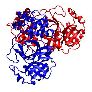 Structure preview of Folding@home molecular dynamics simulations of Diamond Light Source / XChem X-ray structures of small molecule inhibitors of the SARS-CoV-2 main protease from the COVID Moonshot; project 13436, run 238