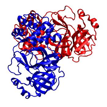Structure preview of Folding@home molecular dynamics simulations of Diamond Light Source / XChem X-ray structures of small molecule inhibitors of the SARS-CoV-2 main protease from the COVID Moonshot; project 13436, run 23