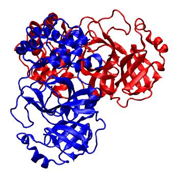 Structure preview of Folding@home molecular dynamics simulations of Diamond Light Source / XChem X-ray structures of small molecule inhibitors of the SARS-CoV-2 main protease from the COVID Moonshot; project 13436, run 240