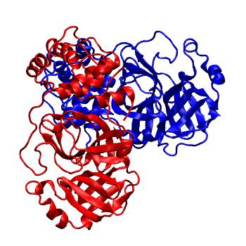 Structure preview of Folding@home molecular dynamics simulations of Diamond Light Source / XChem X-ray structures of small molecule inhibitors of the SARS-CoV-2 main protease from the COVID Moonshot; project 13436, run 241