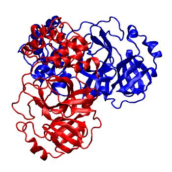 Structure preview of Folding@home molecular dynamics simulations of Diamond Light Source / XChem X-ray structures of small molecule inhibitors of the SARS-CoV-2 main protease from the COVID Moonshot; project 13436, run 242