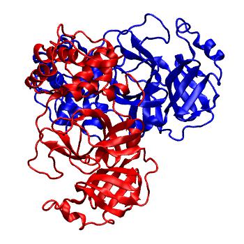 Structure preview of Folding@home molecular dynamics simulations of Diamond Light Source / XChem X-ray structures of small molecule inhibitors of the SARS-CoV-2 main protease from the COVID Moonshot; project 13436, run 244