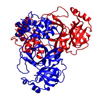 Structure preview of Folding@home molecular dynamics simulations of Diamond Light Source / XChem X-ray structures of small molecule inhibitors of the SARS-CoV-2 main protease from the COVID Moonshot; project 13436, run 245