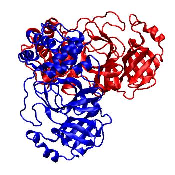 Structure preview of Folding@home molecular dynamics simulations of Diamond Light Source / XChem X-ray structures of small molecule inhibitors of the SARS-CoV-2 main protease from the COVID Moonshot; project 13436, run 246