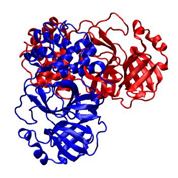 Structure preview of Folding@home molecular dynamics simulations of Diamond Light Source / XChem X-ray structures of small molecule inhibitors of the SARS-CoV-2 main protease from the COVID Moonshot; project 13436, run 247