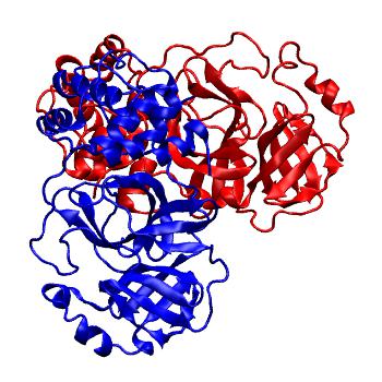 Structure preview of Folding@home molecular dynamics simulations of Diamond Light Source / XChem X-ray structures of small molecule inhibitors of the SARS-CoV-2 main protease from the COVID Moonshot; project 13436, run 248