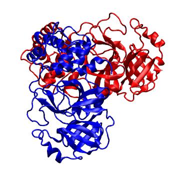 Structure preview of Folding@home molecular dynamics simulations of Diamond Light Source / XChem X-ray structures of small molecule inhibitors of the SARS-CoV-2 main protease from the COVID Moonshot; project 13436, run 24