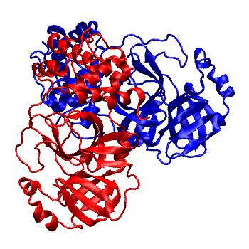 Structure preview of Folding@home molecular dynamics simulations of Diamond Light Source / XChem X-ray structures of small molecule inhibitors of the SARS-CoV-2 main protease from the COVID Moonshot; project 13436, run 251