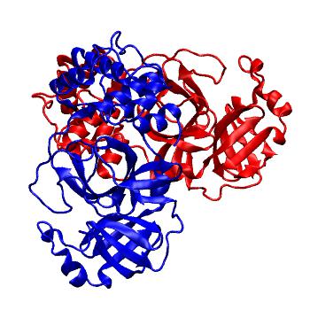 Structure preview of Folding@home molecular dynamics simulations of Diamond Light Source / XChem X-ray structures of small molecule inhibitors of the SARS-CoV-2 main protease from the COVID Moonshot; project 13436, run 252
