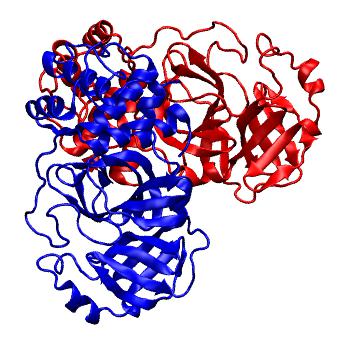 Structure preview of Folding@home molecular dynamics simulations of Diamond Light Source / XChem X-ray structures of small molecule inhibitors of the SARS-CoV-2 main protease from the COVID Moonshot; project 13436, run 253