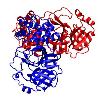 Structure preview of Folding@home molecular dynamics simulations of Diamond Light Source / XChem X-ray structures of small molecule inhibitors of the SARS-CoV-2 main protease from the COVID Moonshot; project 13436, run 254