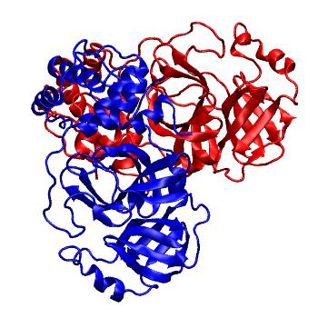 Structure preview of Folding@home molecular dynamics simulations of Diamond Light Source / XChem X-ray structures of small molecule inhibitors of the SARS-CoV-2 main protease from the COVID Moonshot; project 13436, run 257