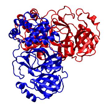 Structure preview of Folding@home molecular dynamics simulations of Diamond Light Source / XChem X-ray structures of small molecule inhibitors of the SARS-CoV-2 main protease from the COVID Moonshot; project 13436, run 259