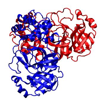 Structure preview of Folding@home molecular dynamics simulations of Diamond Light Source / XChem X-ray structures of small molecule inhibitors of the SARS-CoV-2 main protease from the COVID Moonshot; project 13436, run 25