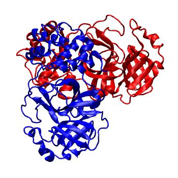 Structure preview of Folding@home molecular dynamics simulations of Diamond Light Source / XChem X-ray structures of small molecule inhibitors of the SARS-CoV-2 main protease from the COVID Moonshot; project 13436, run 260