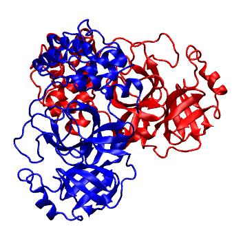 Structure preview of Folding@home molecular dynamics simulations of Diamond Light Source / XChem X-ray structures of small molecule inhibitors of the SARS-CoV-2 main protease from the COVID Moonshot; project 13436, run 261