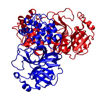 Structure preview of Folding@home molecular dynamics simulations of Diamond Light Source / XChem X-ray structures of small molecule inhibitors of the SARS-CoV-2 main protease from the COVID Moonshot; project 13436, run 263