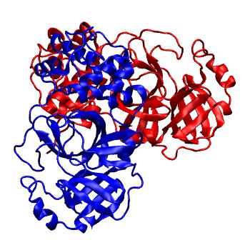 Structure preview of Folding@home molecular dynamics simulations of Diamond Light Source / XChem X-ray structures of small molecule inhibitors of the SARS-CoV-2 main protease from the COVID Moonshot; project 13436, run 264