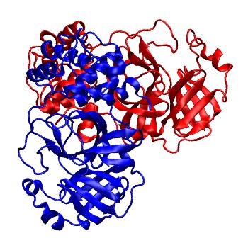 Structure preview of Folding@home molecular dynamics simulations of Diamond Light Source / XChem X-ray structures of small molecule inhibitors of the SARS-CoV-2 main protease from the COVID Moonshot; project 13436, run 267