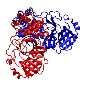 Structure preview of Folding@home molecular dynamics simulations of Diamond Light Source / XChem X-ray structures of small molecule inhibitors of the SARS-CoV-2 main protease from the COVID Moonshot; project 13436, run 269