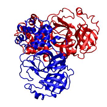 Structure preview of Folding@home molecular dynamics simulations of Diamond Light Source / XChem X-ray structures of small molecule inhibitors of the SARS-CoV-2 main protease from the COVID Moonshot; project 13436, run 26