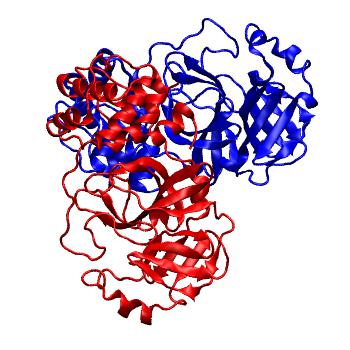 Structure preview of Folding@home molecular dynamics simulations of Diamond Light Source / XChem X-ray structures of small molecule inhibitors of the SARS-CoV-2 main protease from the COVID Moonshot; project 13436, run 271