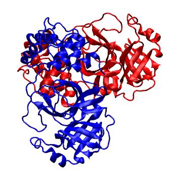 Structure preview of Folding@home molecular dynamics simulations of Diamond Light Source / XChem X-ray structures of small molecule inhibitors of the SARS-CoV-2 main protease from the COVID Moonshot; project 13436, run 272