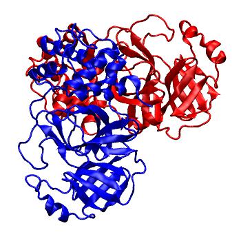 Structure preview of Folding@home molecular dynamics simulations of Diamond Light Source / XChem X-ray structures of small molecule inhibitors of the SARS-CoV-2 main protease from the COVID Moonshot; project 13436, run 275