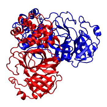 Structure preview of Folding@home molecular dynamics simulations of Diamond Light Source / XChem X-ray structures of small molecule inhibitors of the SARS-CoV-2 main protease from the COVID Moonshot; project 13436, run 279