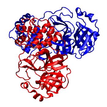 Structure preview of Folding@home molecular dynamics simulations of Diamond Light Source / XChem X-ray structures of small molecule inhibitors of the SARS-CoV-2 main protease from the COVID Moonshot; project 13436, run 27