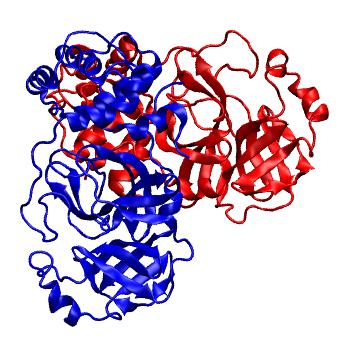 Structure preview of Folding@home molecular dynamics simulations of Diamond Light Source / XChem X-ray structures of small molecule inhibitors of the SARS-CoV-2 main protease from the COVID Moonshot; project 13436, run 285