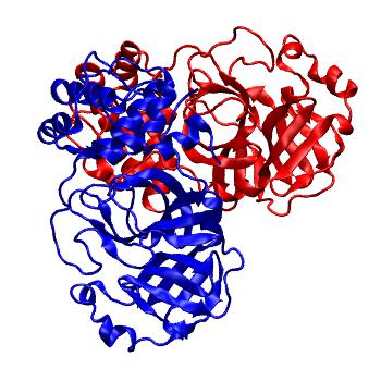 Structure preview of Folding@home molecular dynamics simulations of Diamond Light Source / XChem X-ray structures of small molecule inhibitors of the SARS-CoV-2 main protease from the COVID Moonshot; project 13436, run 286