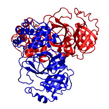 Structure preview of Folding@home molecular dynamics simulations of Diamond Light Source / XChem X-ray structures of small molecule inhibitors of the SARS-CoV-2 main protease from the COVID Moonshot; project 13436, run 287
