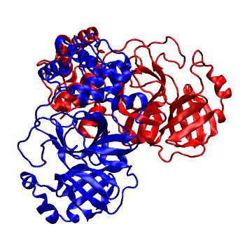 Structure preview of Folding@home molecular dynamics simulations of Diamond Light Source / XChem X-ray structures of small molecule inhibitors of the SARS-CoV-2 main protease from the COVID Moonshot; project 13436, run 28