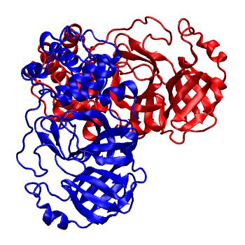 Structure preview of Folding@home molecular dynamics simulations of Diamond Light Source / XChem X-ray structures of small molecule inhibitors of the SARS-CoV-2 main protease from the COVID Moonshot; project 13436, run 291
