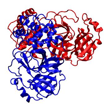 Structure preview of Folding@home molecular dynamics simulations of Diamond Light Source / XChem X-ray structures of small molecule inhibitors of the SARS-CoV-2 main protease from the COVID Moonshot; project 13436, run 292