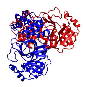 Structure preview of Folding@home molecular dynamics simulations of Diamond Light Source / XChem X-ray structures of small molecule inhibitors of the SARS-CoV-2 main protease from the COVID Moonshot; project 13436, run 293