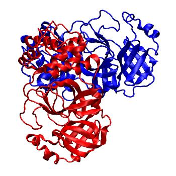 Structure preview of Folding@home molecular dynamics simulations of Diamond Light Source / XChem X-ray structures of small molecule inhibitors of the SARS-CoV-2 main protease from the COVID Moonshot; project 13436, run 296