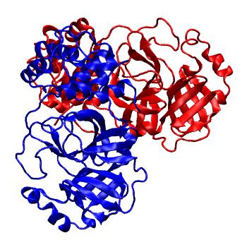 Structure preview of Folding@home molecular dynamics simulations of Diamond Light Source / XChem X-ray structures of small molecule inhibitors of the SARS-CoV-2 main protease from the COVID Moonshot; project 13436, run 297