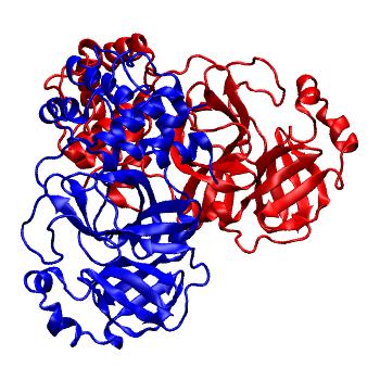 Structure preview of Folding@home molecular dynamics simulations of Diamond Light Source / XChem X-ray structures of small molecule inhibitors of the SARS-CoV-2 main protease from the COVID Moonshot; project 13436, run 298