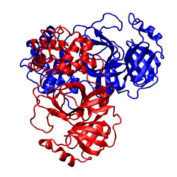 Structure preview of Folding@home molecular dynamics simulations of Diamond Light Source / XChem X-ray structures of small molecule inhibitors of the SARS-CoV-2 main protease from the COVID Moonshot; project 13436, run 29