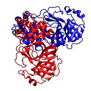 Structure preview of Folding@home molecular dynamics simulations of Diamond Light Source / XChem X-ray structures of small molecule inhibitors of the SARS-CoV-2 main protease from the COVID Moonshot; project 13436, run 302
