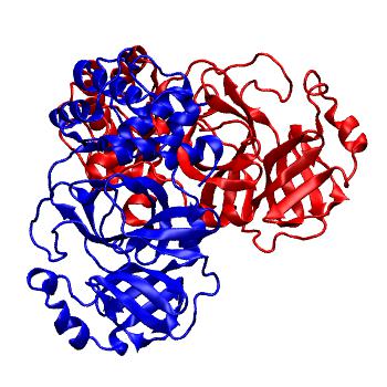 Structure preview of Folding@home molecular dynamics simulations of Diamond Light Source / XChem X-ray structures of small molecule inhibitors of the SARS-CoV-2 main protease from the COVID Moonshot; project 13436, run 303