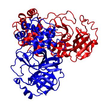 Structure preview of Folding@home molecular dynamics simulations of Diamond Light Source / XChem X-ray structures of small molecule inhibitors of the SARS-CoV-2 main protease from the COVID Moonshot; project 13436, run 305