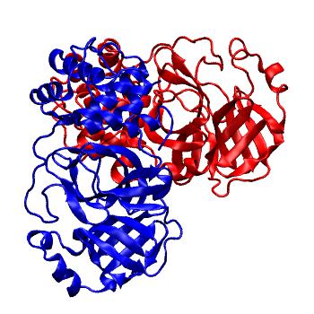 Structure preview of Folding@home molecular dynamics simulations of Diamond Light Source / XChem X-ray structures of small molecule inhibitors of the SARS-CoV-2 main protease from the COVID Moonshot; project 13436, run 307