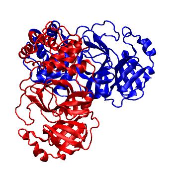 Structure preview of Folding@home molecular dynamics simulations of Diamond Light Source / XChem X-ray structures of small molecule inhibitors of the SARS-CoV-2 main protease from the COVID Moonshot; project 13436, run 308