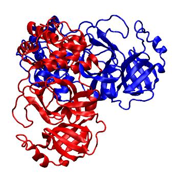 Structure preview of Folding@home molecular dynamics simulations of Diamond Light Source / XChem X-ray structures of small molecule inhibitors of the SARS-CoV-2 main protease from the COVID Moonshot; project 13436, run 309