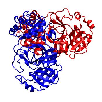 Structure preview of Folding@home molecular dynamics simulations of Diamond Light Source / XChem X-ray structures of small molecule inhibitors of the SARS-CoV-2 main protease from the COVID Moonshot; project 13436, run 310