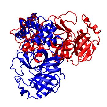 Structure preview of Folding@home molecular dynamics simulations of Diamond Light Source / XChem X-ray structures of small molecule inhibitors of the SARS-CoV-2 main protease from the COVID Moonshot; project 13436, run 311