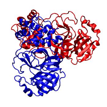 Structure preview of Folding@home molecular dynamics simulations of Diamond Light Source / XChem X-ray structures of small molecule inhibitors of the SARS-CoV-2 main protease from the COVID Moonshot; project 13436, run 315